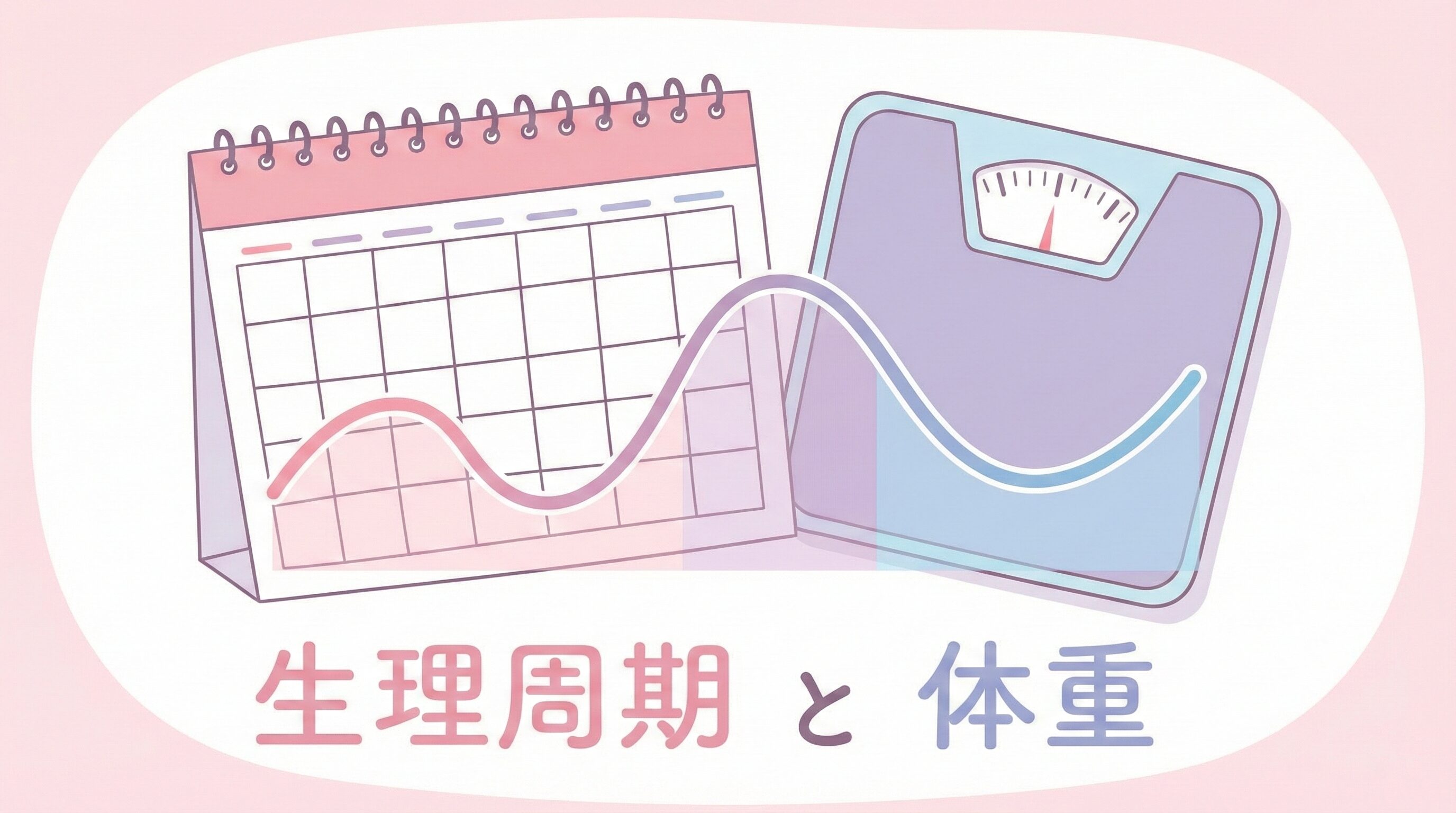 女性の生理周期と体重変動