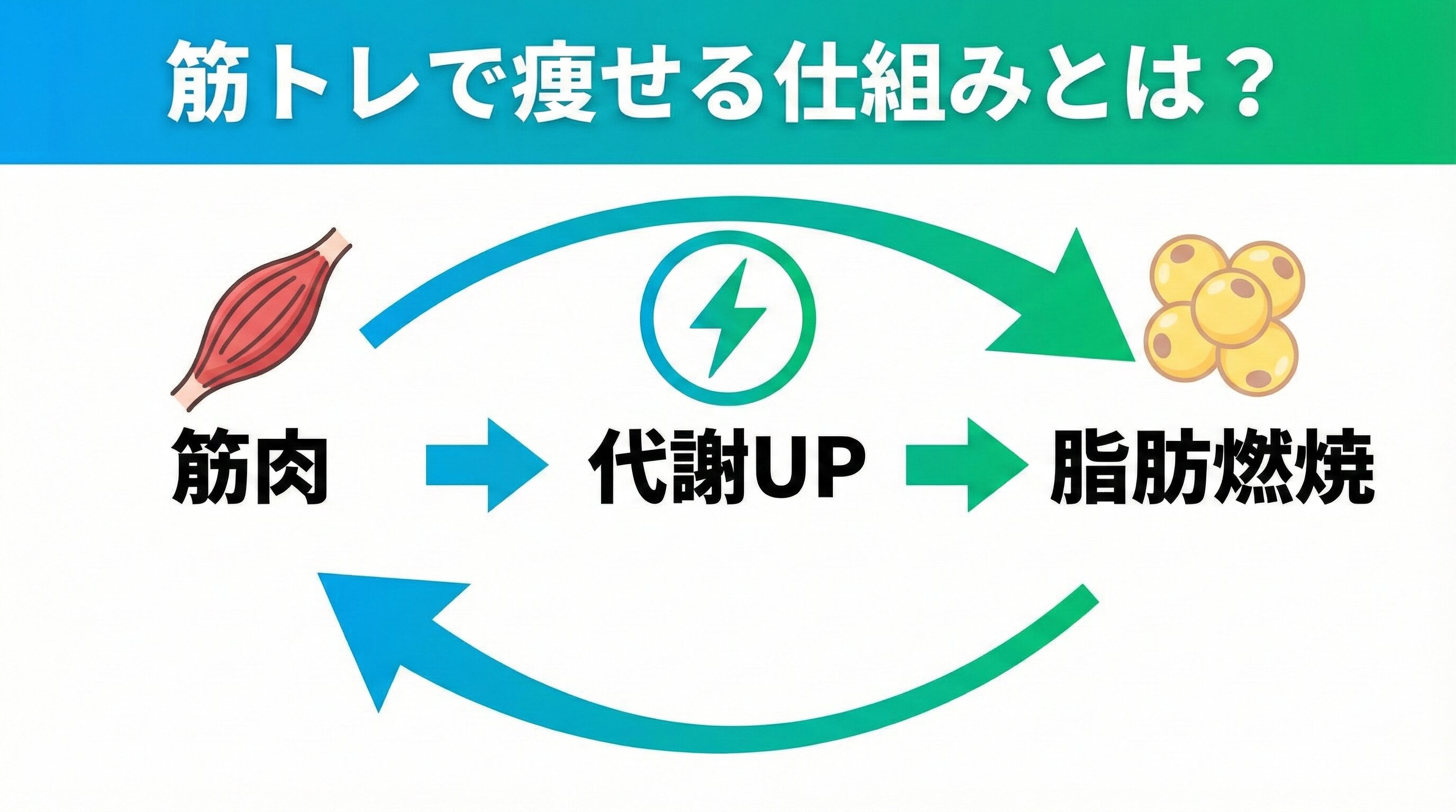 筋トレで痩せる仕組み