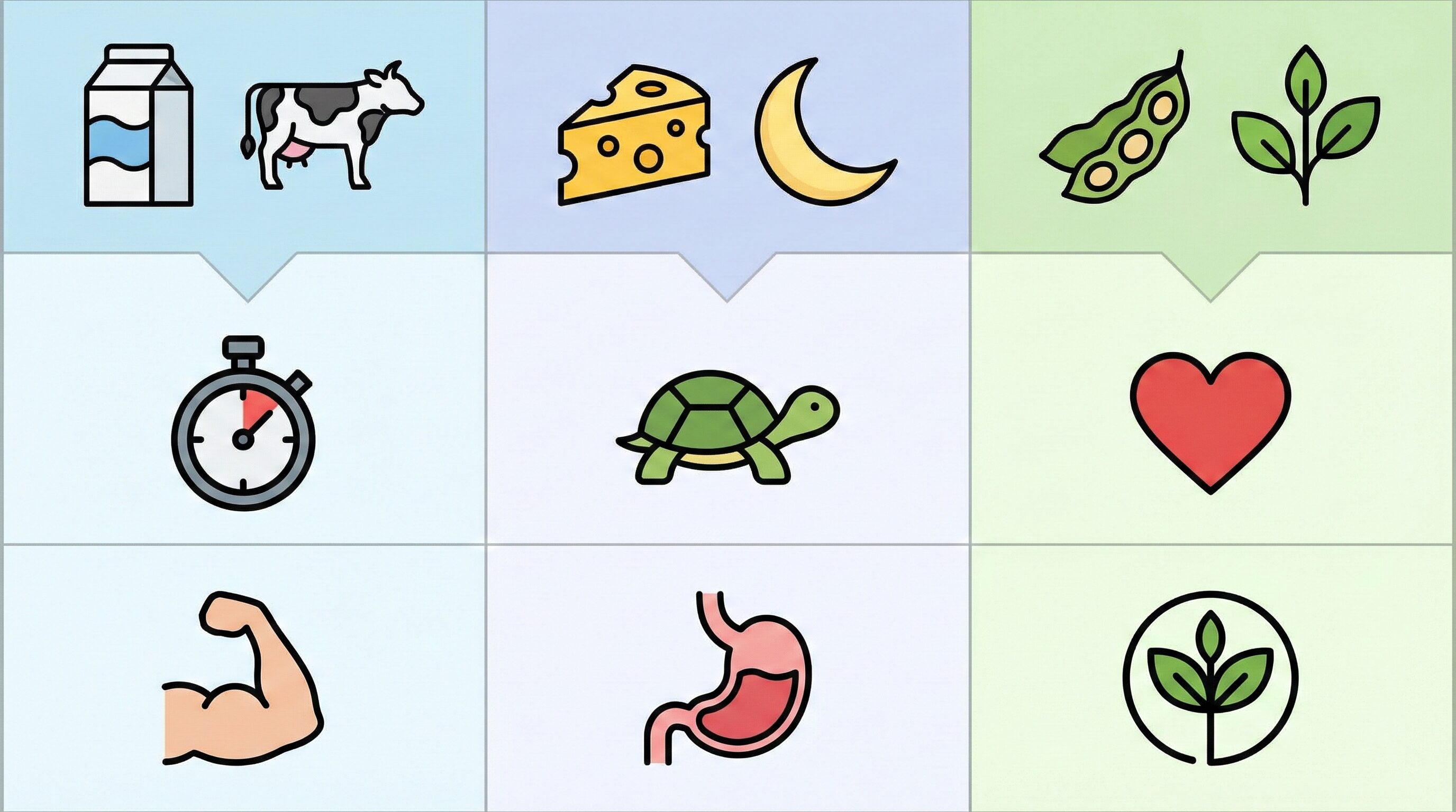 プロテインの選び方